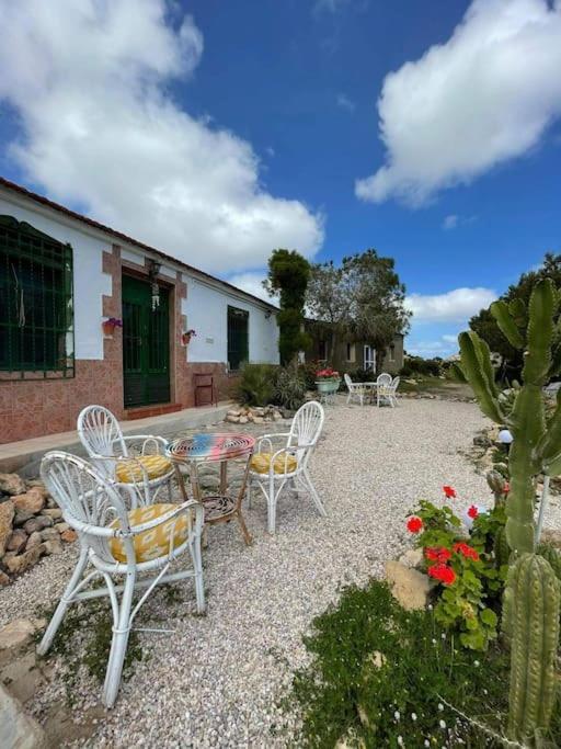 فيلا La Casa De Ladrillo, Relax Y Trekking House. مرسية المظهر الخارجي الصورة