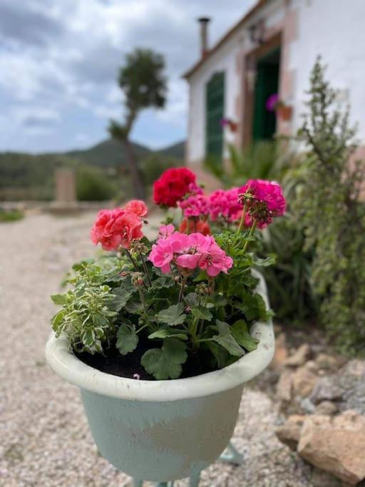 فيلا La Casa De Ladrillo, Relax Y Trekking House. مرسية المظهر الخارجي الصورة
